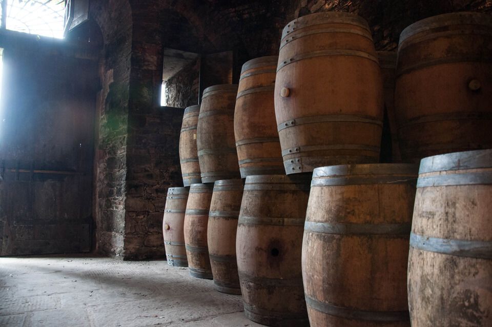 Ancient Cellar in Tuscany: Wine Tasting Tour in Tuscan Wineries