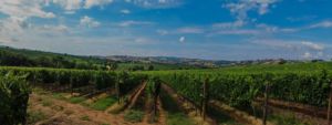 Tuscany Day Tours
