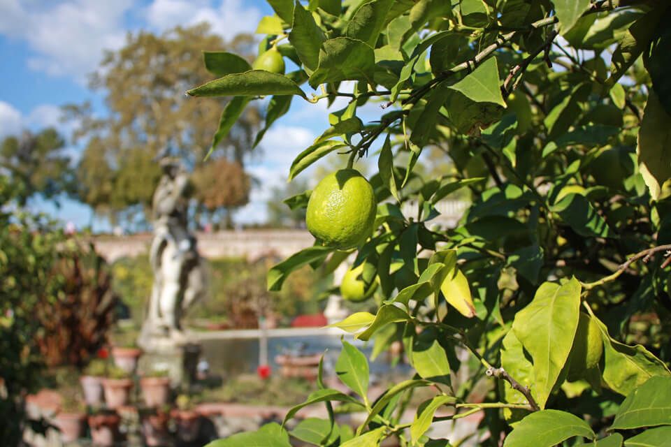 Lucca Gardens: Discover the Town of Lucca in Tuscany